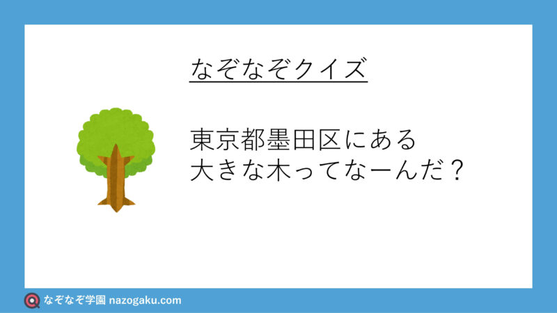 なぞなぞ：東京都墨田区にある大きな木ってなーんだ？