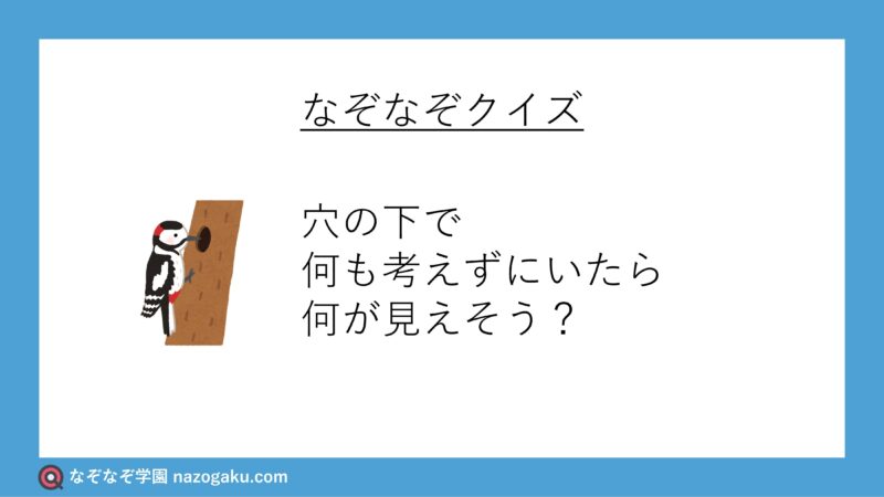 なぞなぞ問題：穴の下で何も考えずにいたら何が見えそう？